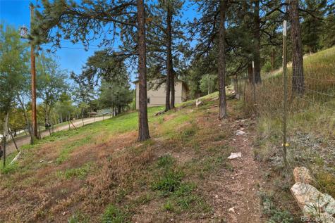 364 Sleepy Hollow Drive Bailey CO 80421