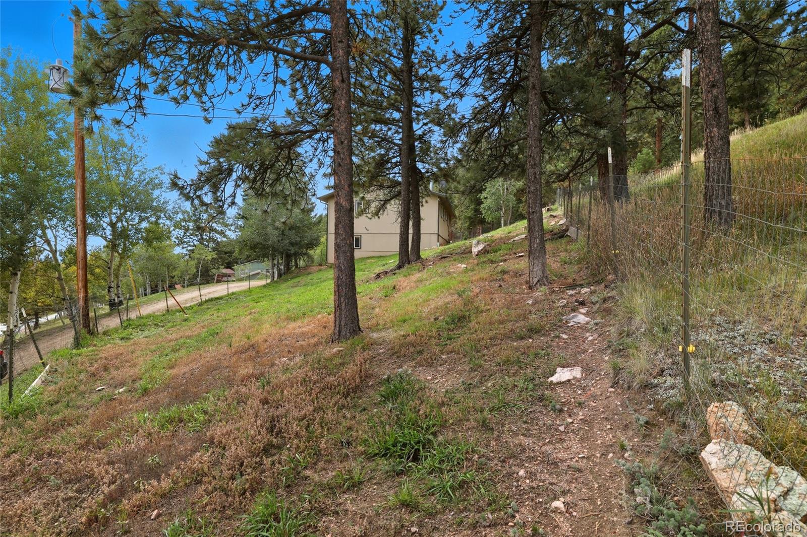 364 Sleepy Hollow Drive Bailey CO 80421