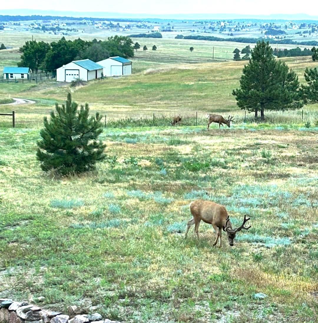 17245 Elbert Road Peyton CO 80831