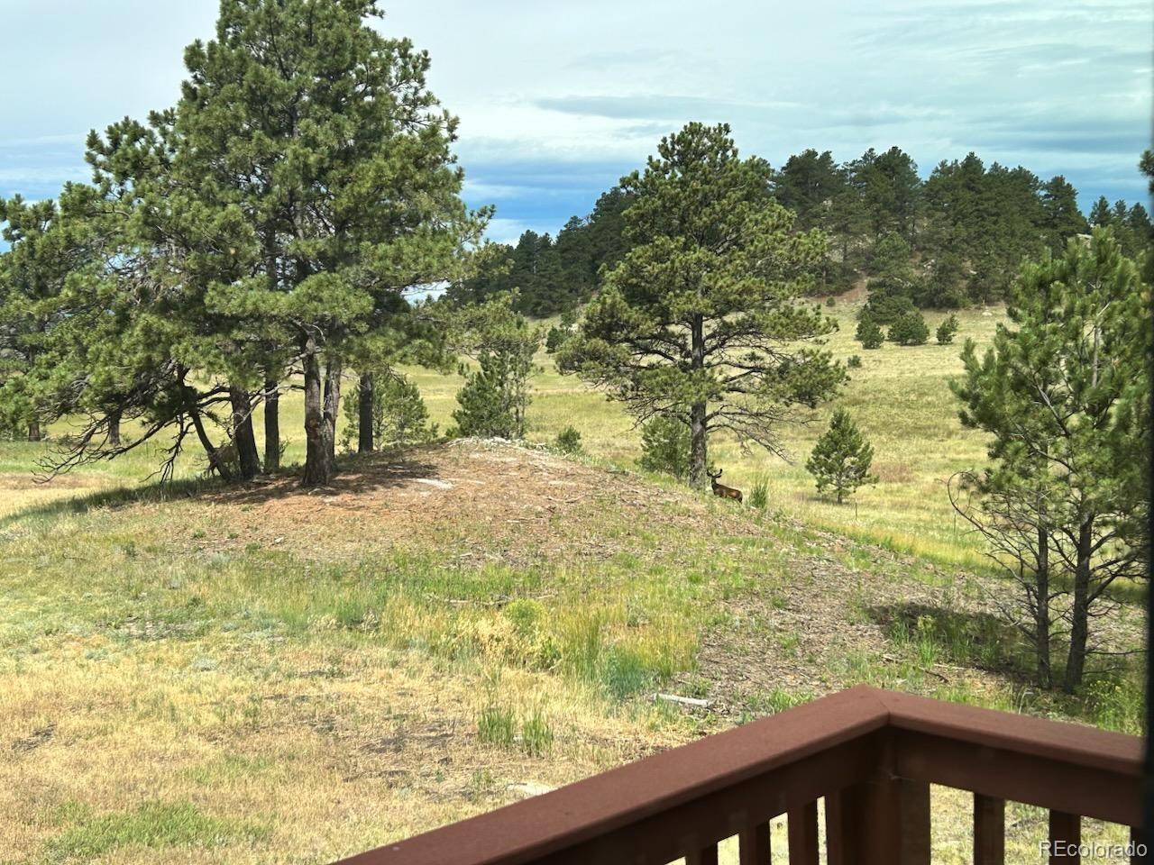 17245 Elbert Road Peyton CO 80831