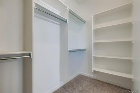 8436 William Downing Drive Colorado Springs CO 80908