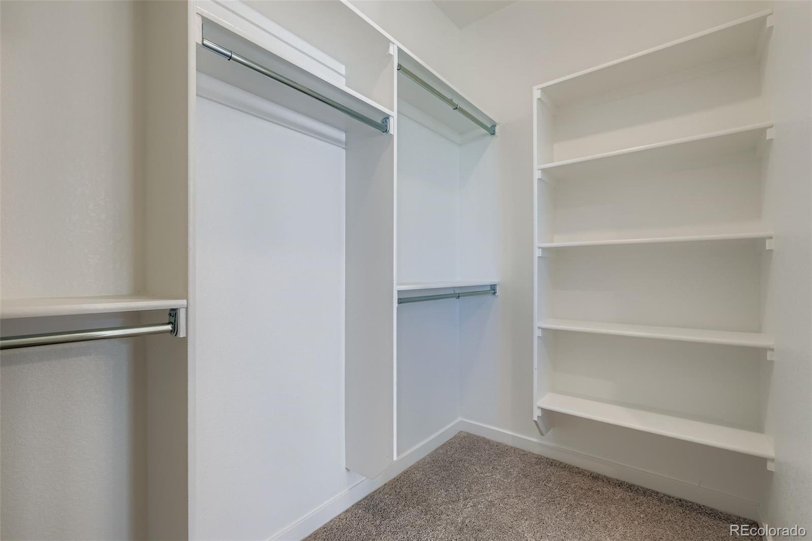 8436 William Downing Drive Colorado Springs CO 80908