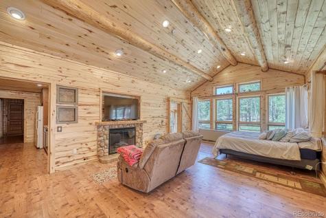 18480 Ponderosa Buena Vista CO 81211