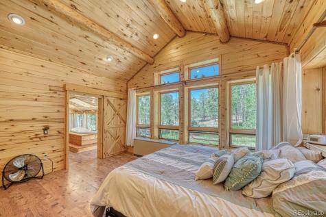 18480 Ponderosa Buena Vista CO 81211