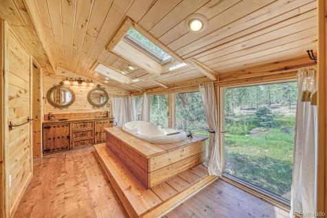 18480 Ponderosa Buena Vista CO 81211