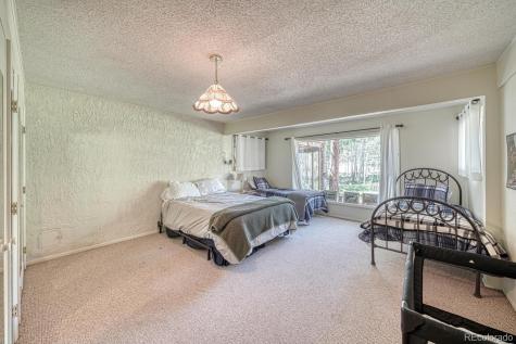 18480 Ponderosa Buena Vista CO 81211