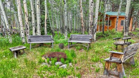 18480 Ponderosa Buena Vista CO 81211