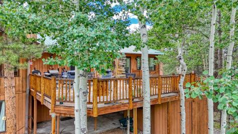 18480 Ponderosa Buena Vista CO 81211