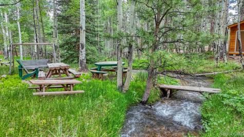 18480 Ponderosa Buena Vista CO 81211