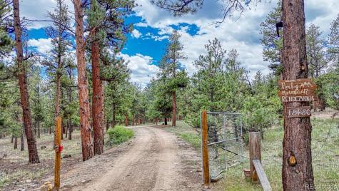 18480 Ponderosa Buena Vista CO 81211