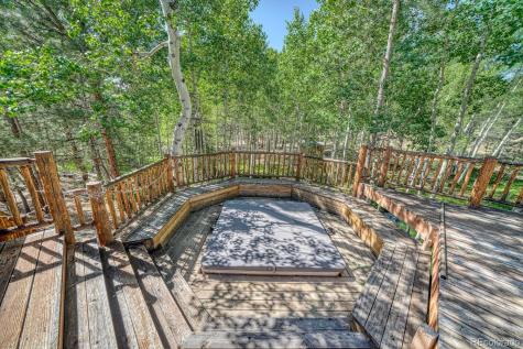 18480 Ponderosa Buena Vista CO 81211