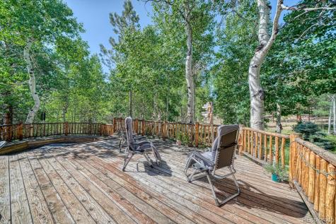 18480 Ponderosa Buena Vista CO 81211