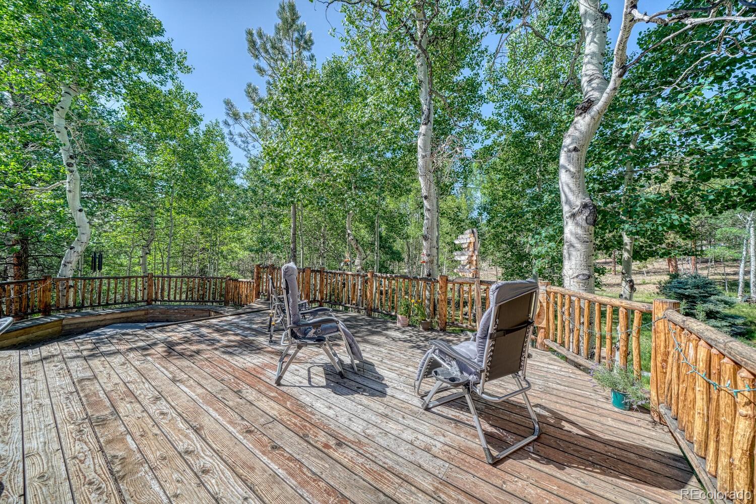 18480 Ponderosa Buena Vista CO 81211