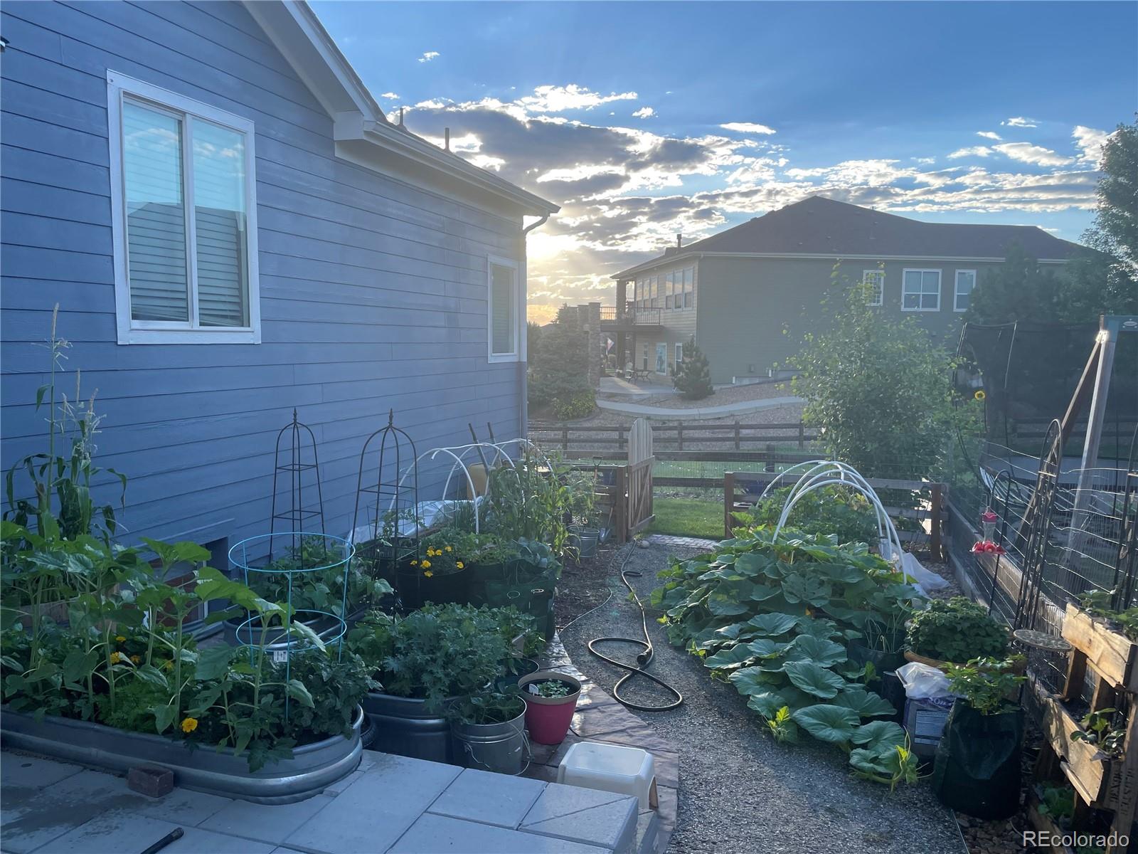 12134 Pine Top Street Parker CO 80138