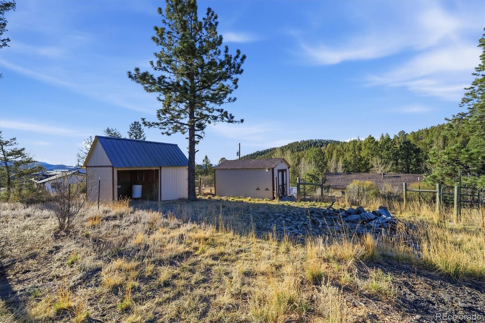 33799 Warren Road Pine CO 80470