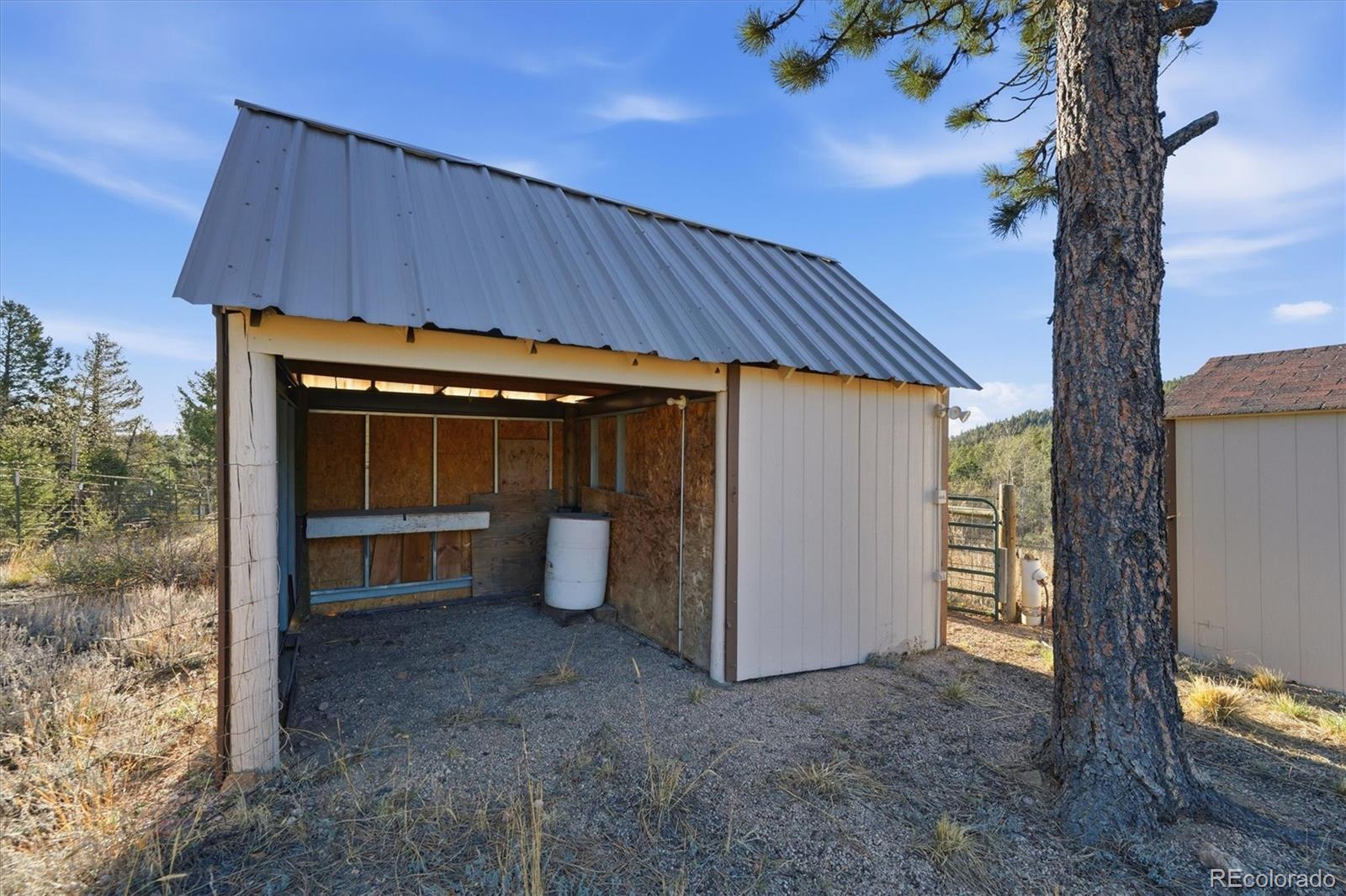 33799 Warren Road Pine CO 80470