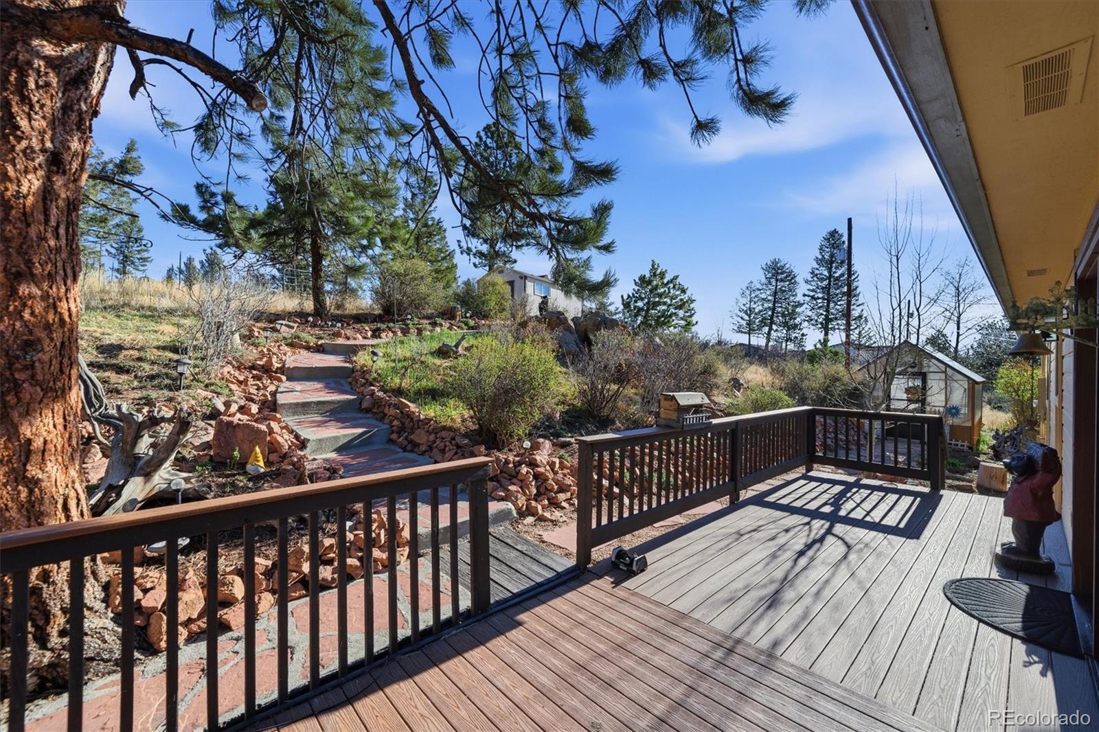 33799 Warren Road Pine CO 80470