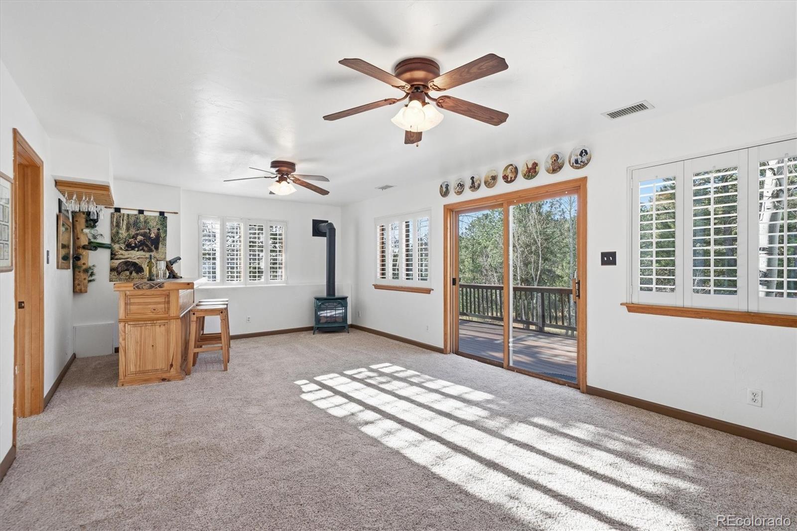 33799 Warren Road Pine CO 80470