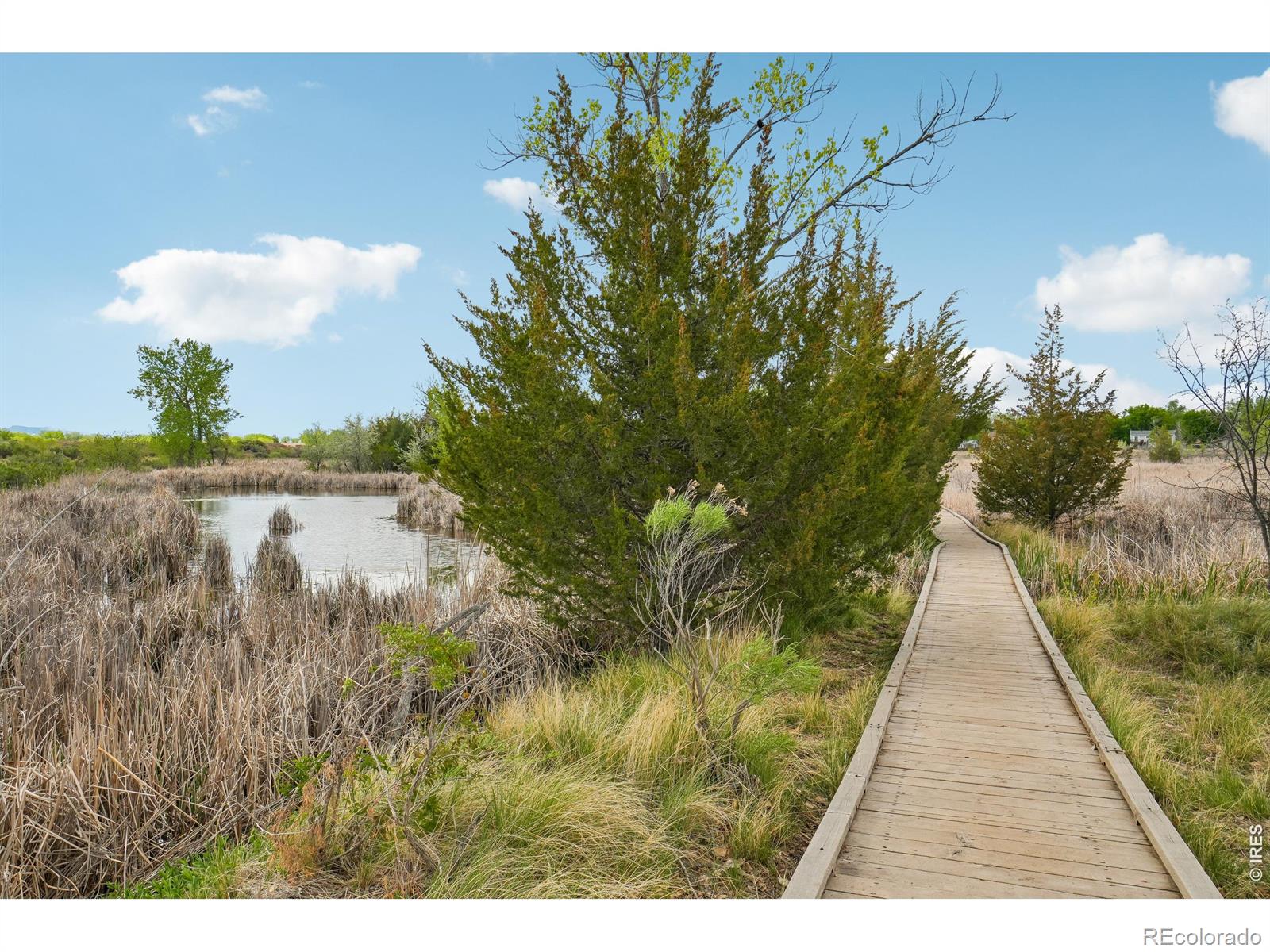 800 Countryside Drive Fort Collins CO 80524