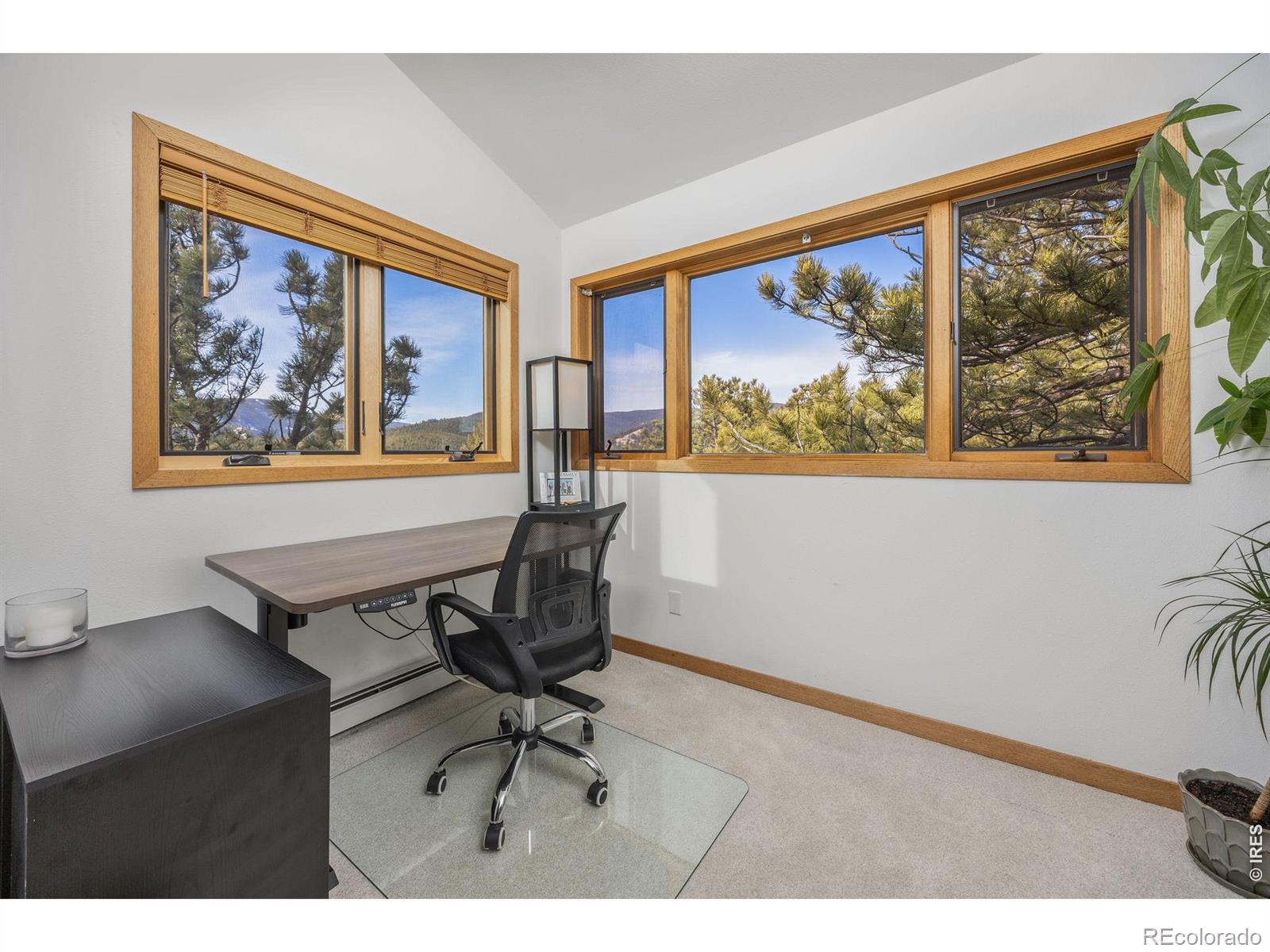 14 Sundown Trail Nederland CO 80466