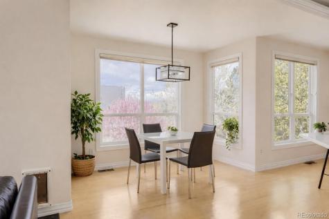 9041 Kittiwake Street Littleton CO 80126