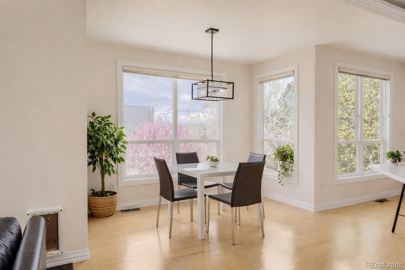 9041 Kittiwake Street Littleton CO 80126