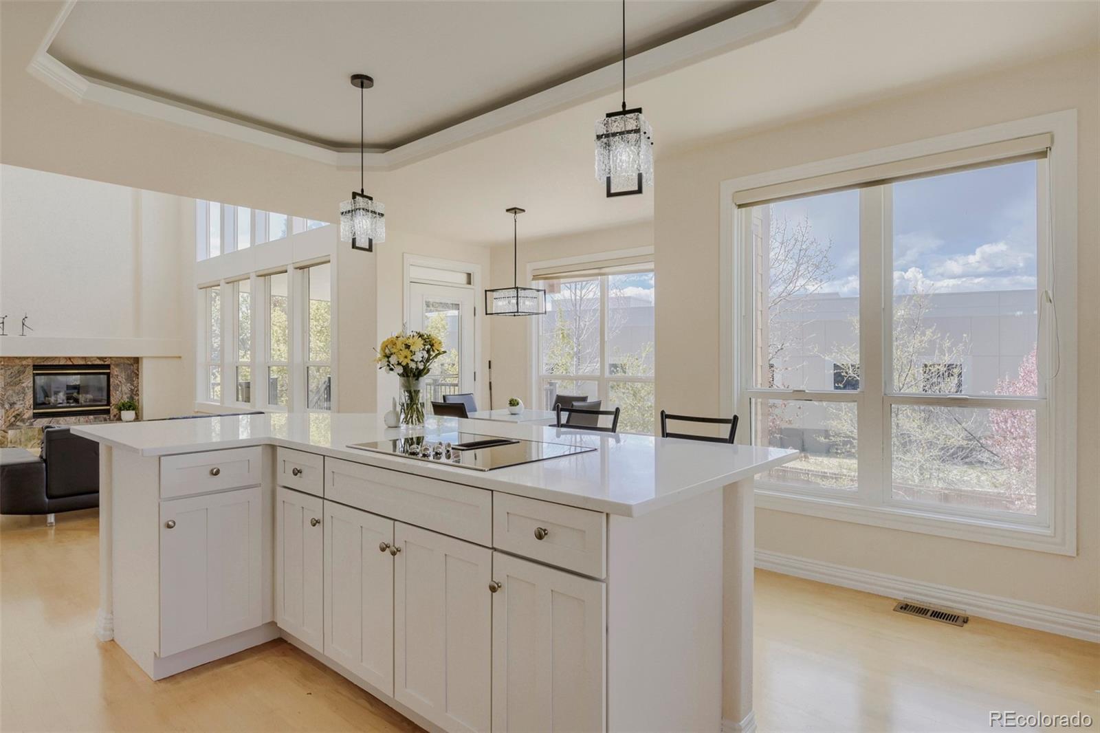9041 Kittiwake Street Littleton CO 80126