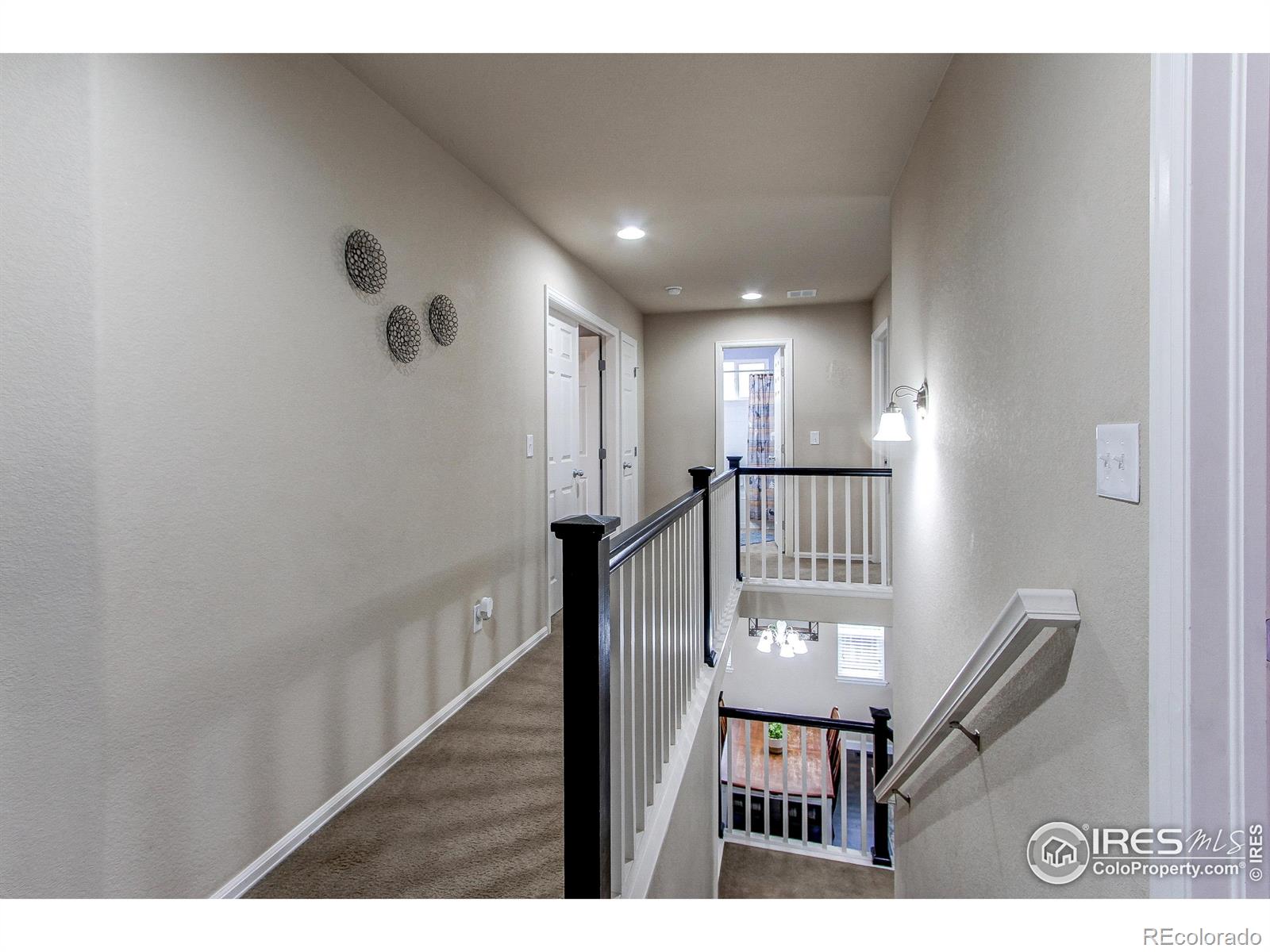 568 Botley Court Windsor CO 80550