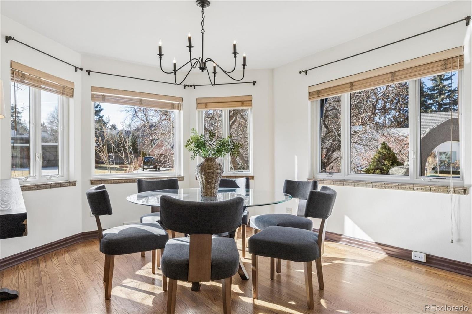 6 Ivy Lane Denver CO 80220