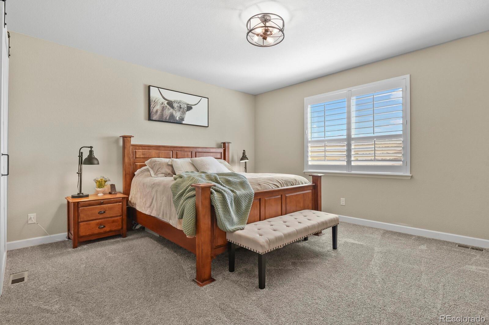6180 Leilani Drive Castle Rock CO 80108