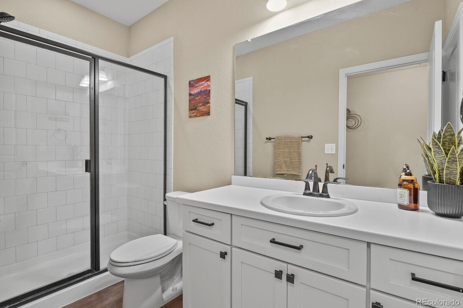 6180 Leilani Drive Castle Rock CO 80108