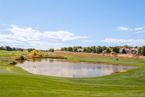 8176 Lone Oak Court Lone Tree CO 80124