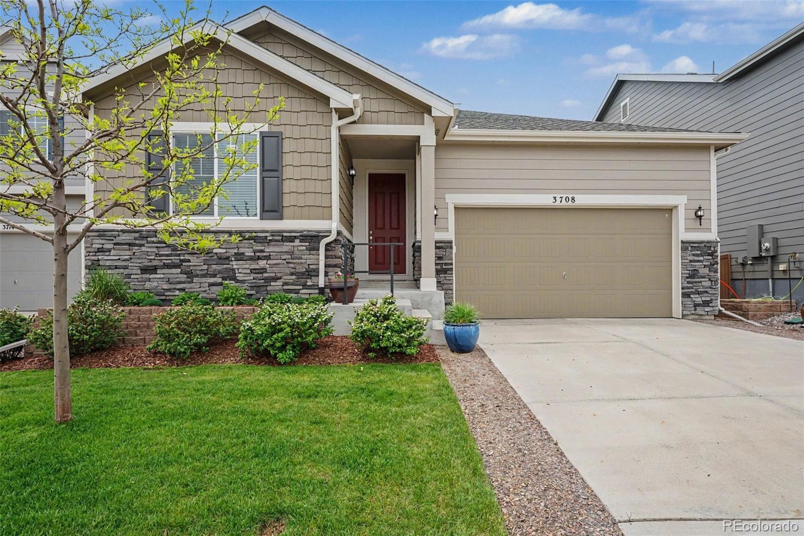 3708 White Rose Loop Castle Rock CO 80108