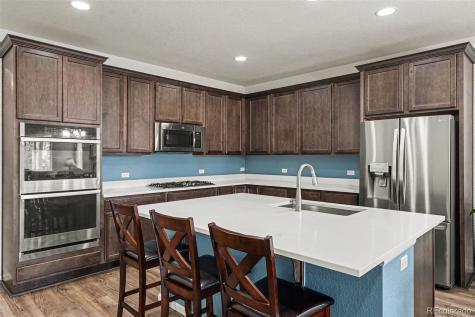 3708 White Rose Loop Castle Rock CO 80108