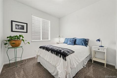 3708 White Rose Loop Castle Rock CO 80108