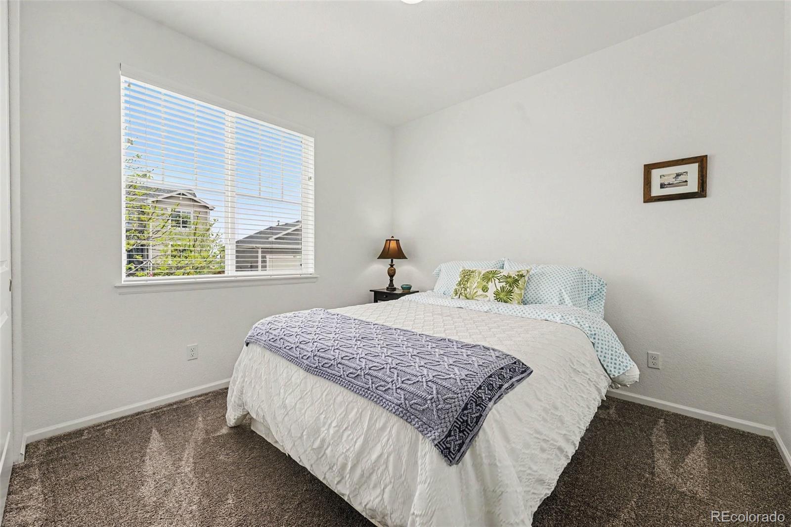 3708 White Rose Loop Castle Rock CO 80108