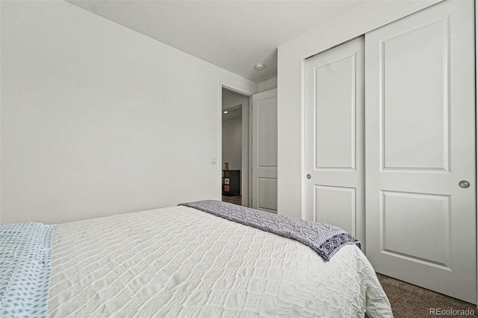 3708 White Rose Loop Castle Rock CO 80108
