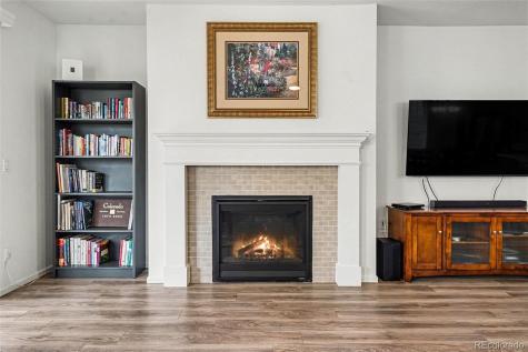 3708 White Rose Loop Castle Rock CO 80108