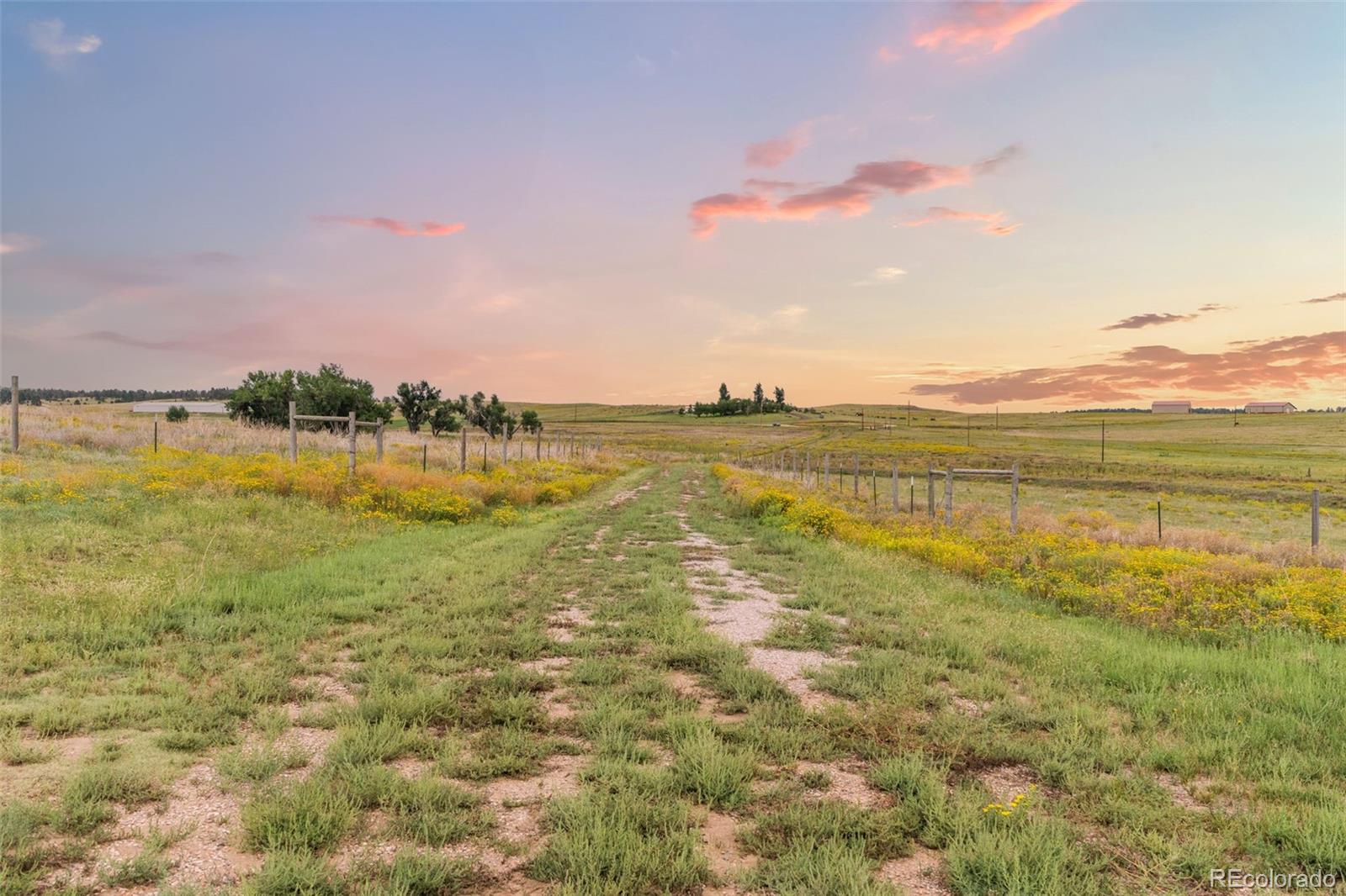 22685 Cow Circle Ramah CO 80832