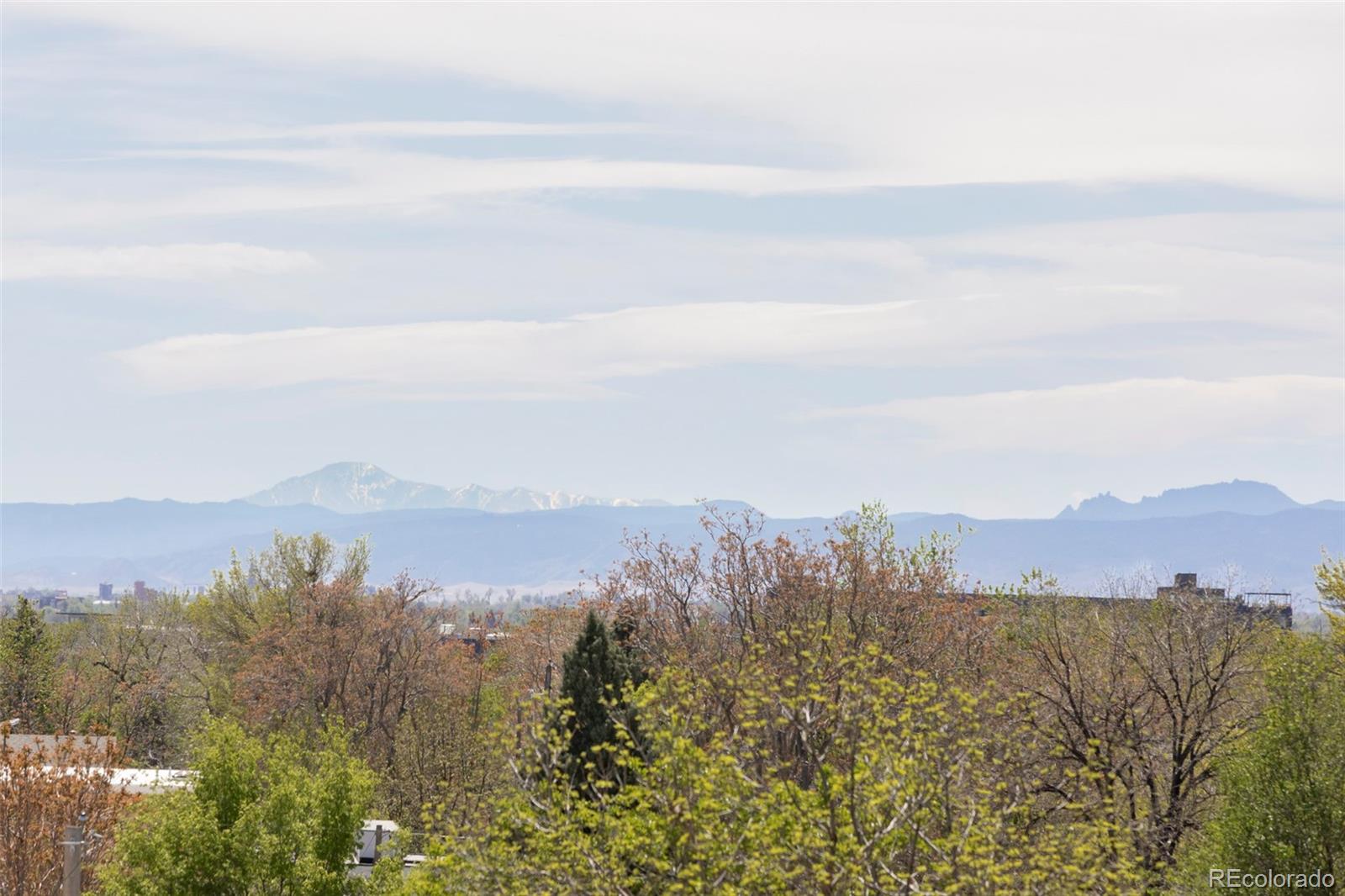 2740 Hazel Court Denver CO 80211