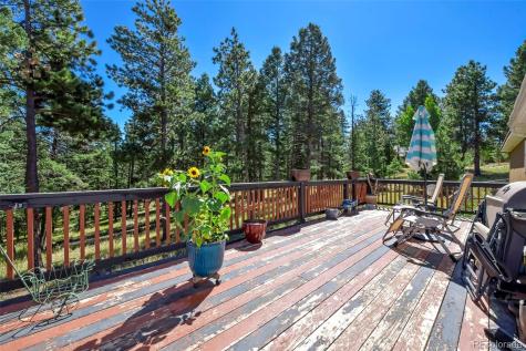 44 Southpark Road Florissant CO 80816