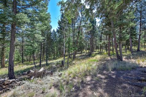 44 Southpark Road Florissant CO 80816