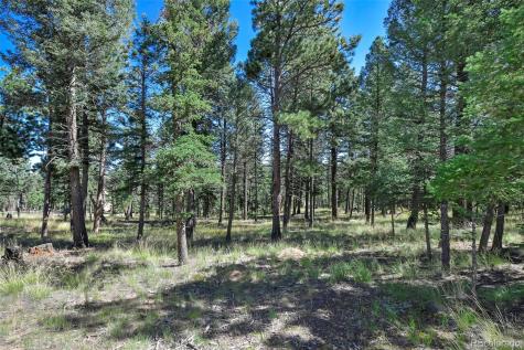 44 Southpark Road Florissant CO 80816