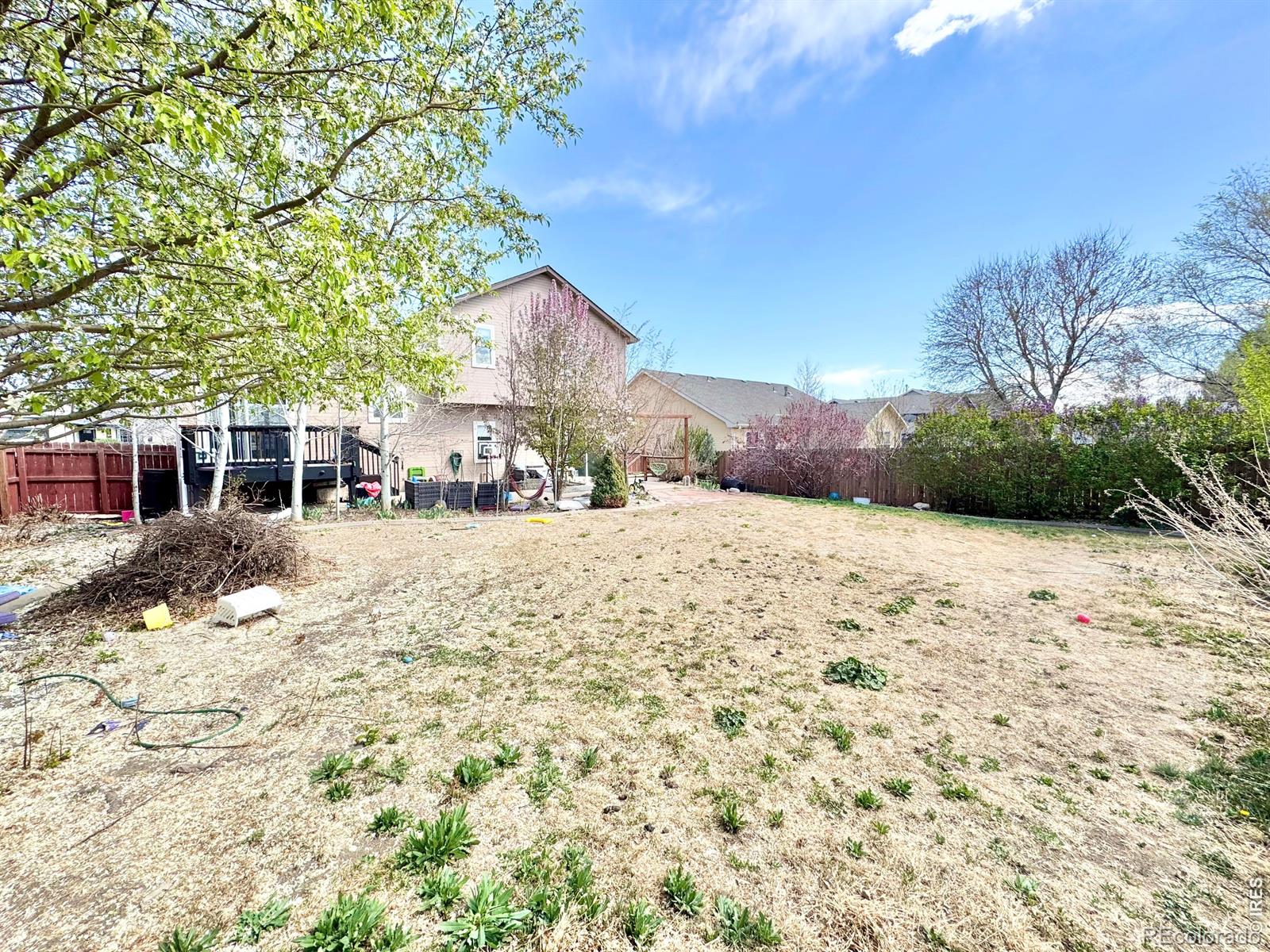 89 Arapaho Street Severance CO 80550