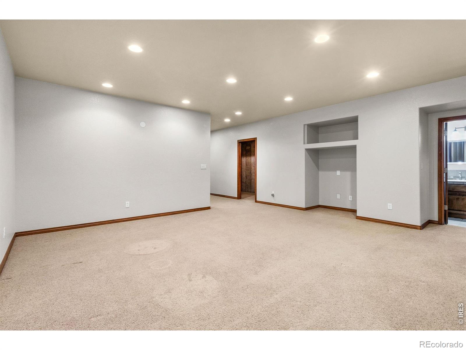 1443 Folsum Drive Windsor CO 80550