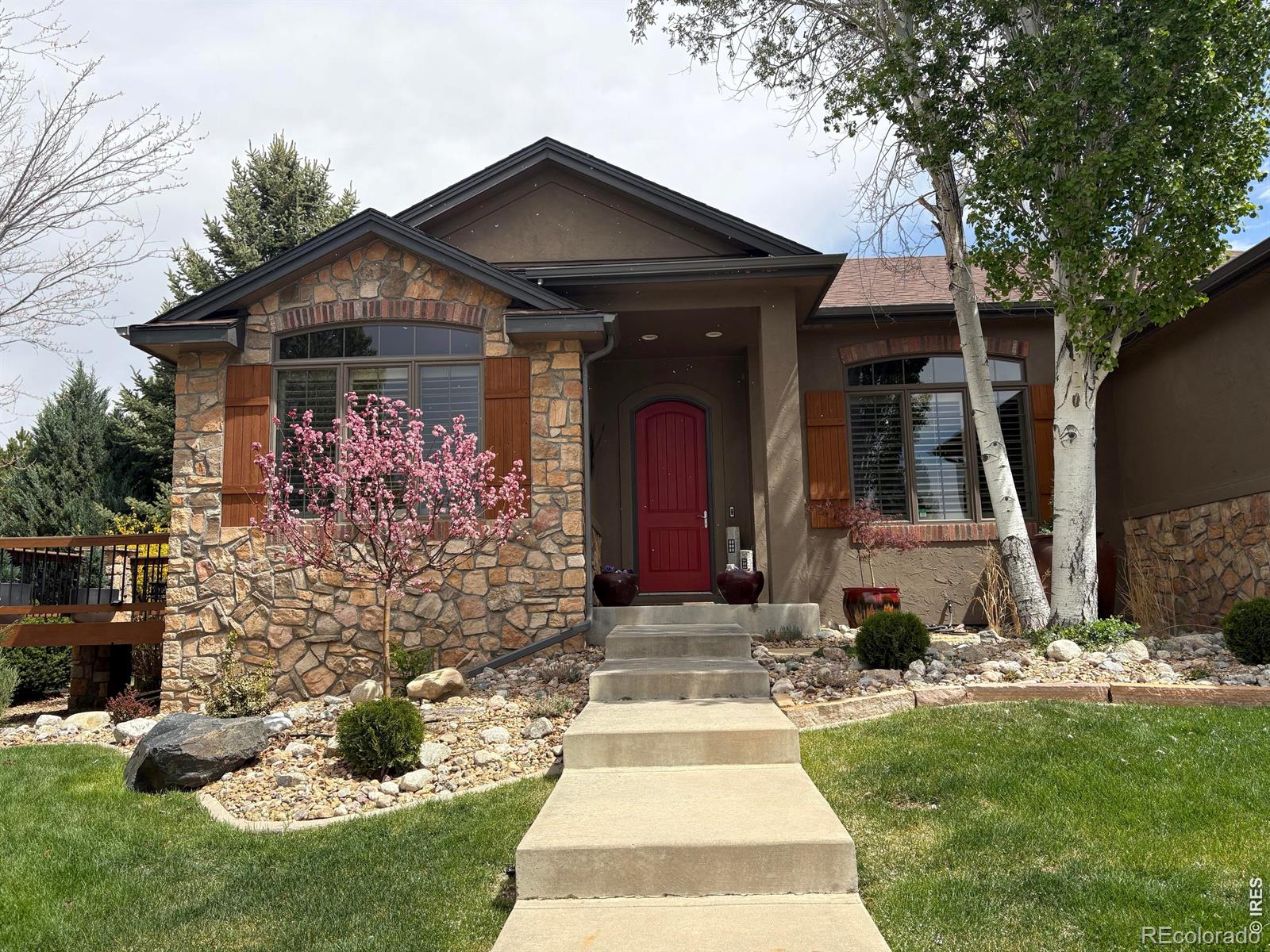 1443 Folsum Drive Windsor CO 80550