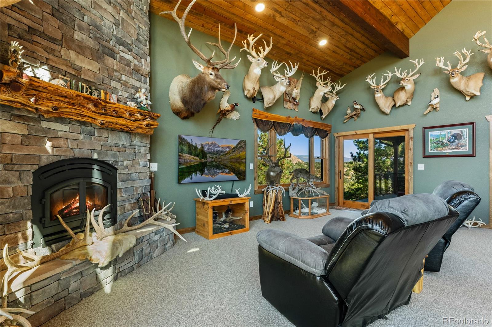 1310 Sunrise Ridge Cotopaxi CO 81223
