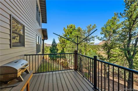 1310 Sunrise Ridge Cotopaxi CO 81223