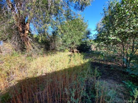 1544 Birch Street Canon City CO 81212