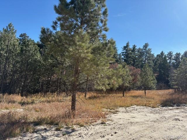 3715 El Rancho Way Monument CO 80132
